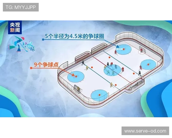 争球规则详解：比赛中争球的判罚标准与执行流程